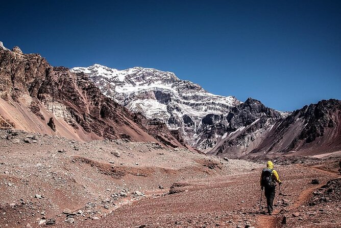 Trekking Aconcagua Park - The guide adds meaning to the rocks and plants
