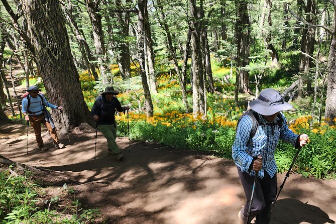 Trekking Day in Bariloche - Low/Medium/High difficulty - The climb toward Bariloche’s high views