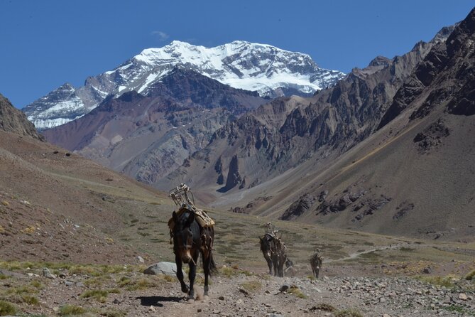 Trekking to Confluencia, Aconcagua first base camp - From Mendoza to Aconcagua Provincial Park