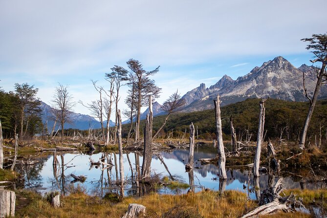 Trekking Tour Laguna Esmeralda and Fuegian Valleys - Peat bog platforms and the muddy middle section