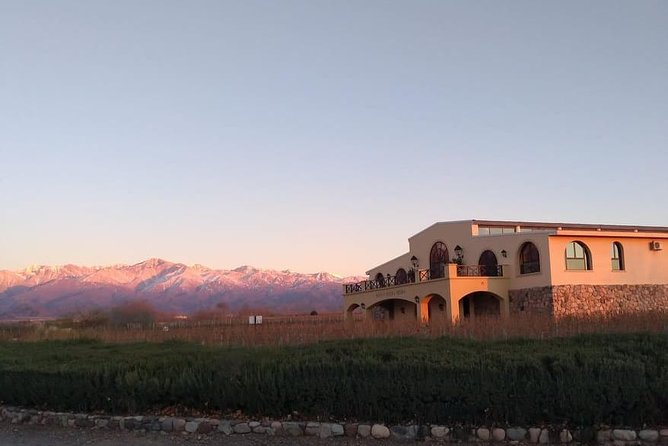 Uco Valley - Altitud Vines - Why the Uco Valley is worth a full day
