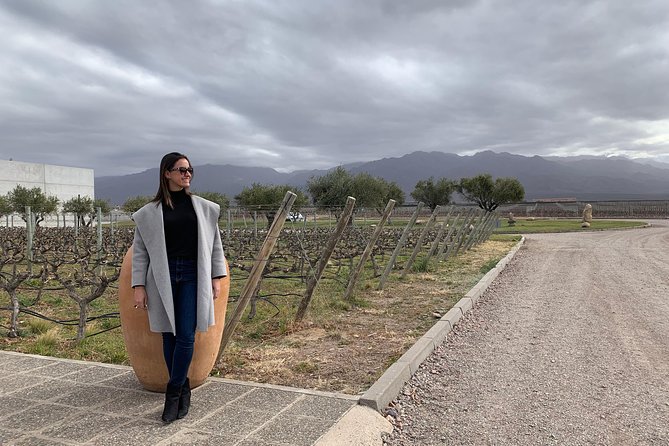 Uco Valley - Altitud Vines - Choosing among eight Uco Valley wineries