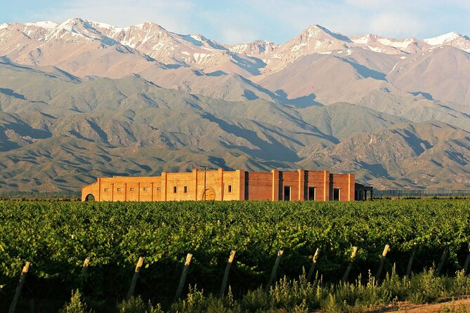 Uco Valley Gourmet Wine Tour - Key points to know before booking