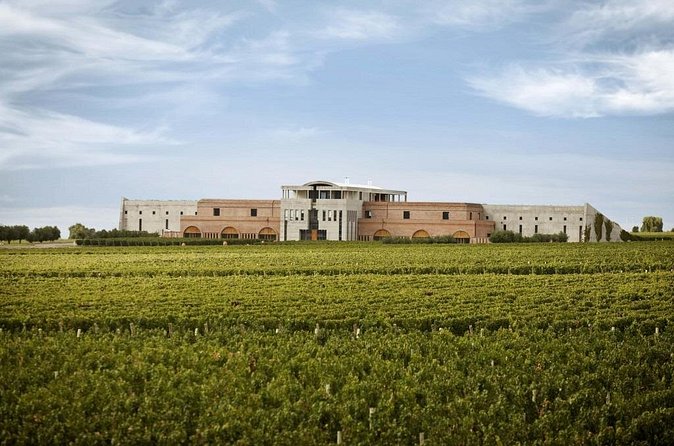 Uco Valley Gourmet Wine Tour - Drivers and guides can make or break a long wine day