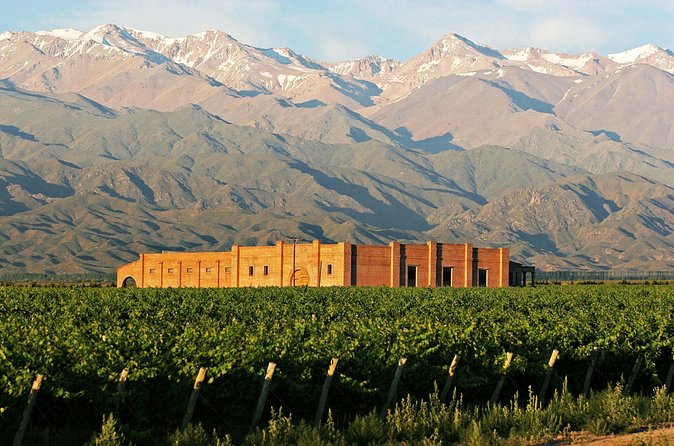 Uco Valley Gourmet Wine Tour - Who will enjoy this tour most?