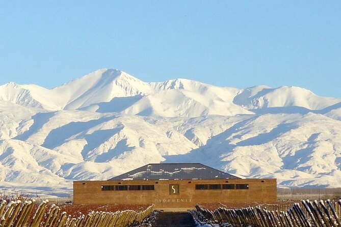 Uco Valley Gourmet Wine Tour - Timing, pickup, and cancellation details
