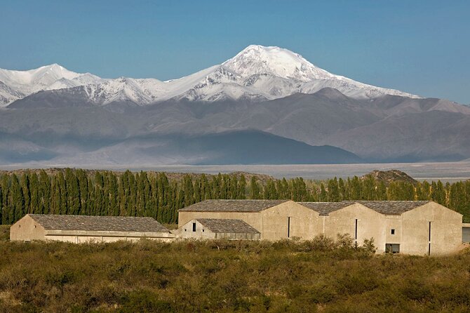 Uco Valley Gourmet Wine Tour - The winery lineup is flexible, and that is a real advantage
