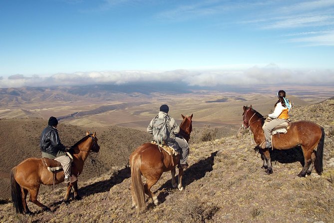 Uco Valley Horseback Riding Tour with Traditional Argentine Lunch - Key points to know before booking