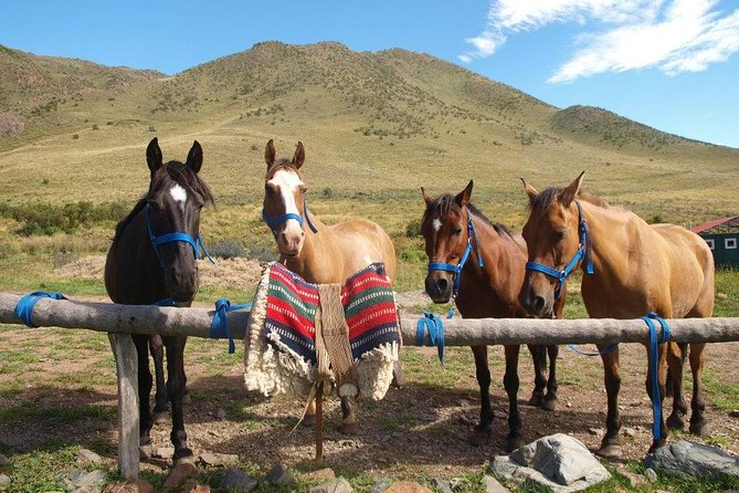 Uco Valley Horseback Riding Tour with Traditional Argentine Lunch - Leaving Mendoza for the Uco Valley