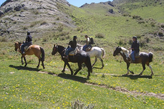Uco Valley Horseback Riding Tour with Traditional Argentine Lunch - Practical timing, weather, and cancellation details