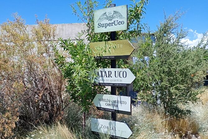 Uco Valley Wine Experience - Private - The Best Wine Tour & Lunch - Who should book this Mendoza wine tour