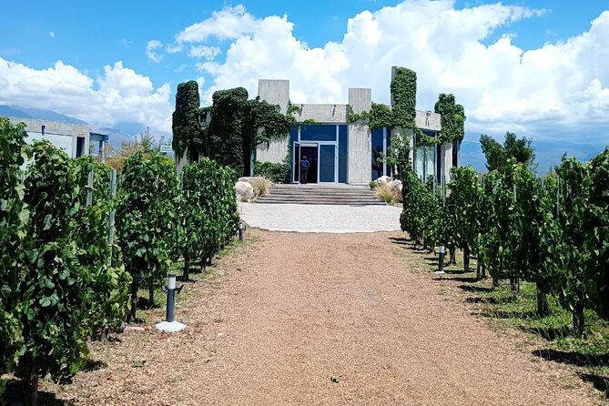 Uco Valley Wine Experience - Private - The Best Wine Tour & Lunch - Stop one: two hours at Bodega Enzo Bianchi