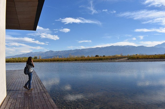 Uco Valley Wine Tour - Seeing vineyards and the oak aging rooms