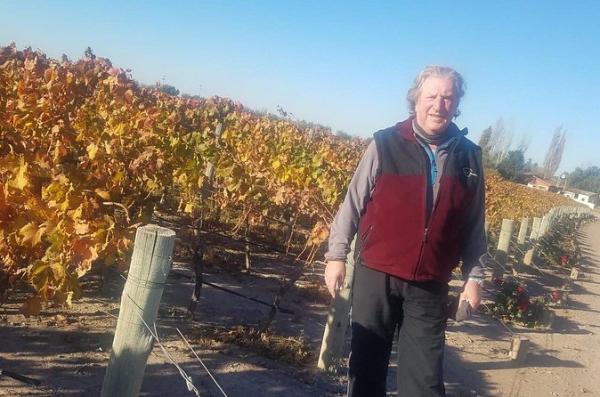 Uco Valley Wine Tour - Who will enjoy this private wine tour?