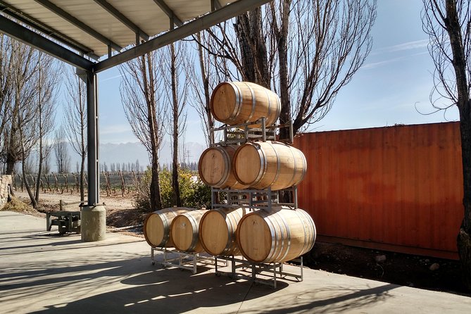 Uco Valley Wine Tour - Timing, booking, and cancellation advice