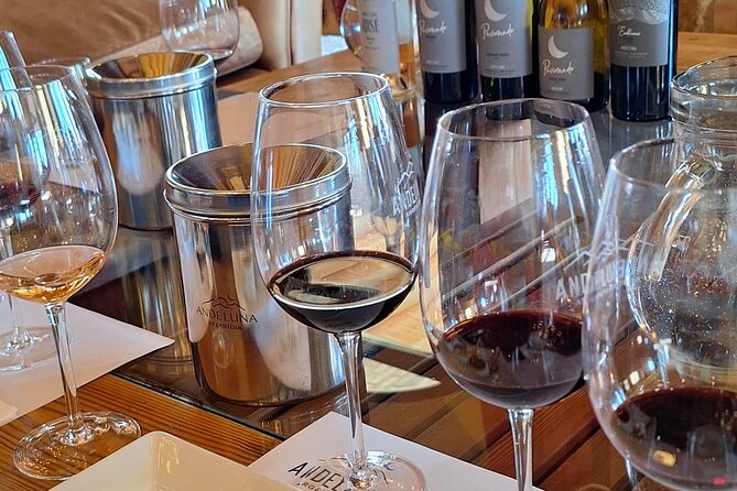 Uco Valley Wineries Day with Private Driver - What makes this Uco Valley day worth considering