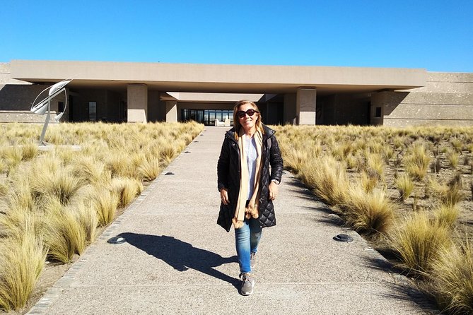 Uco Valley Wineries Day with Private Driver - Gualtallary and the high-altitude setting