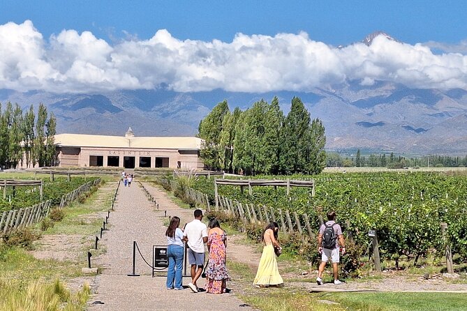 Uco Valley Wineries Day with Private Driver - How the price works for a group of four