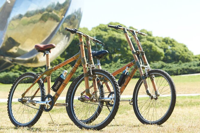 Ultimate Buenos Aires Bike Tour: All-Day All-Inclusive All-City - Plaza de Mayo and the Casa Rosada