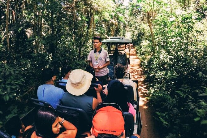 Under the Iguazu Falls live the Great Adventure + Train & Safari - Walking the lower and upper circuits