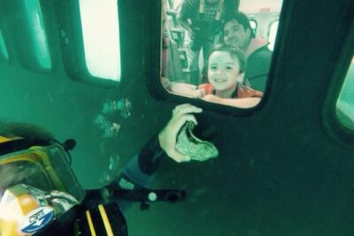 Underwater Whale Watching in Puerto Piramides