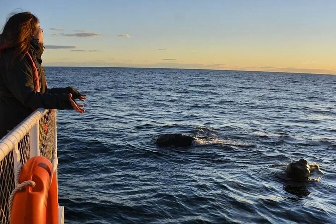 Underwater Whale Watching in Puerto Piramides - The upper deck may be your best friend