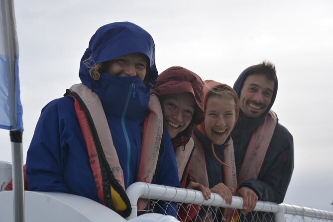 Underwater Whale Watching in Puerto Piramides - A 90-minute schedule with little wasted time