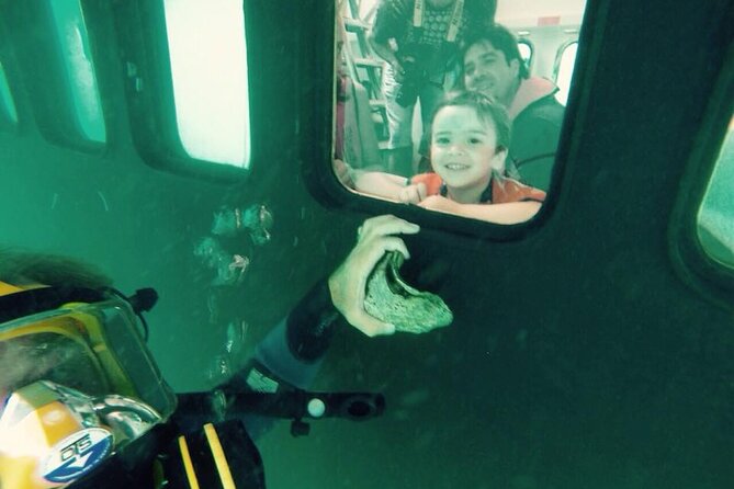 Underwater Whale Watching in Puerto Piramides - Southern Spirit gives you two ways to watch
