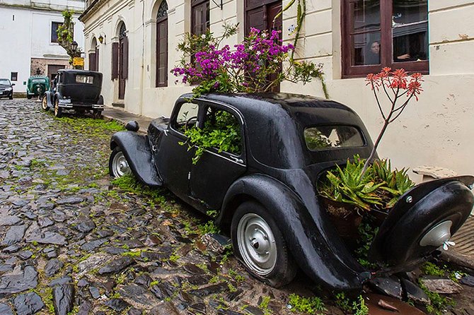 Unforgettable Day Tour in Colonia del Sacramento - Who should choose this Colonia excursion?