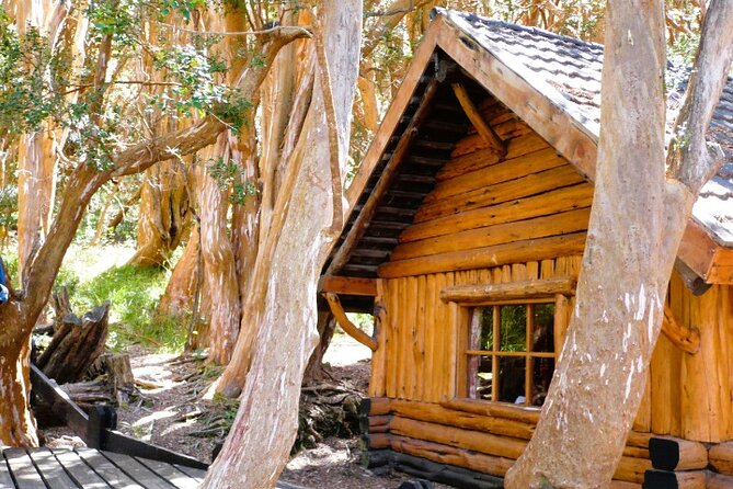 Unforgettable Patagonia Victoria Island and Arrayanes Forest - What the $206.65 price really buys you