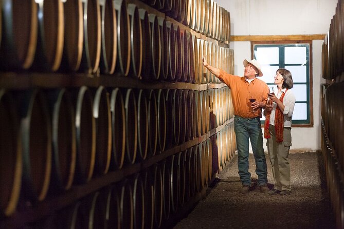 Unveiling Cafayate: Premium Wine Road Adventure - Key points to know before you book