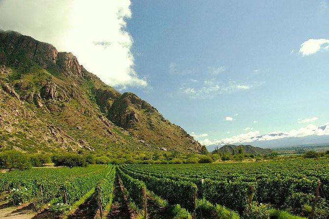 Unveiling Cafayate: Premium Wine Road Adventure - Lunch is on your own in Cafayate