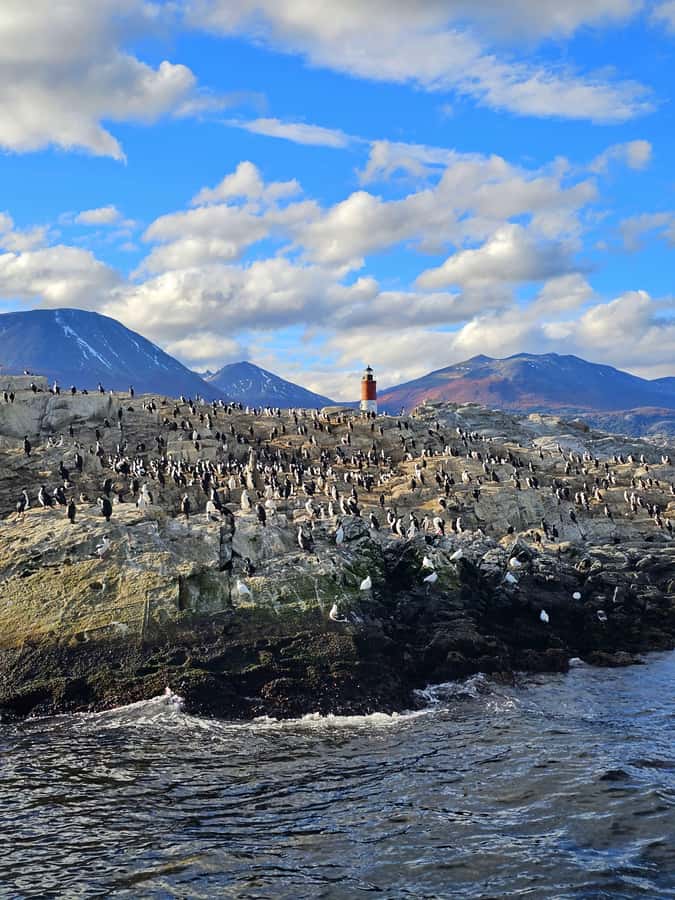 Ushuaia: Beagle Channel and Penguin Island - Why this Beagle Channel cruise is worth your time