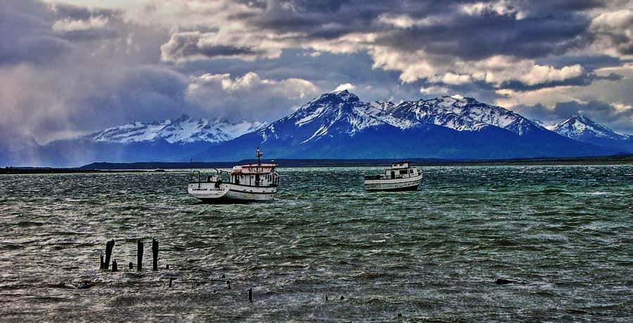 Ushuaia: Beagle Channel Boat Tour and Penguin Experience - Key points to know before you book