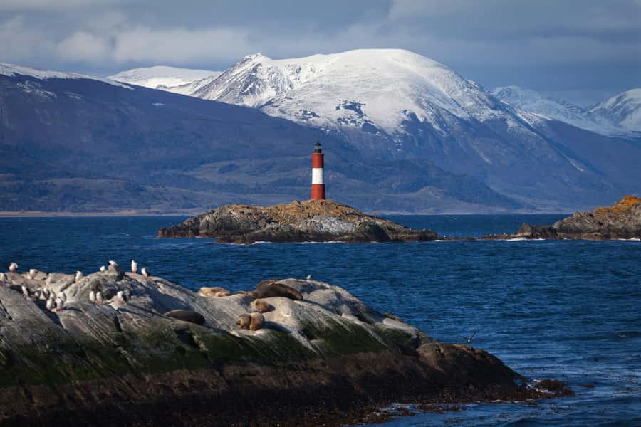 Ushuaia: Beagle Channel Boat Tour and Penguin Experience - Why the penguin walk is the main event