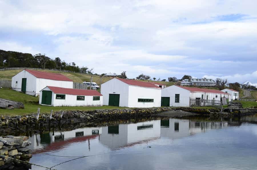Ushuaia: Beagle Channel Boat Tour and Penguin Experience - Guides, language, and group comfort
