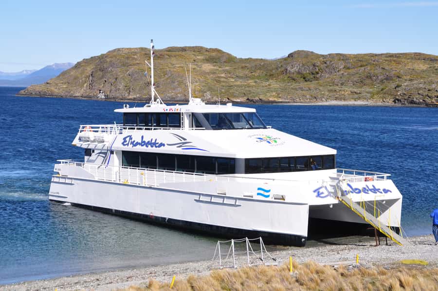 Ushuaia: Beagle Channel & Sea Wolves Island Catamaran Cruise - Sea Lion Island and close views from the catamaran