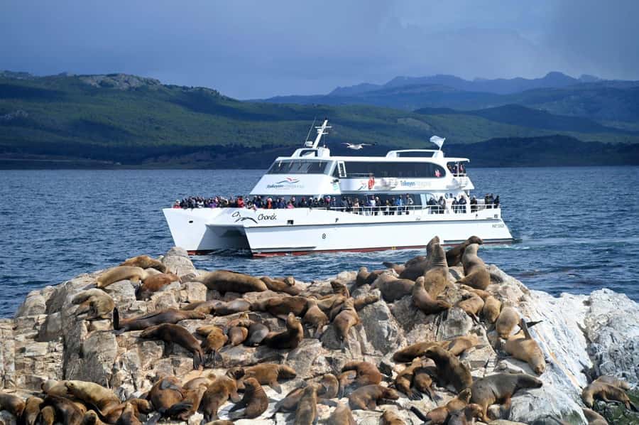 Ushuaia: Beagle Channel, Seal Island & Bridges Islands Tour - Key Points Before You Sail