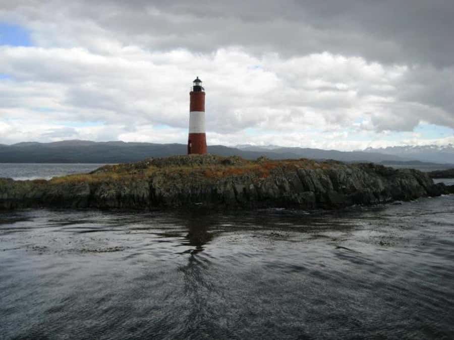 Ushuaia: Beagle Channel, Seal Island & Bridges Islands Tour - Who Will Enjoy This Boat Trip Most?