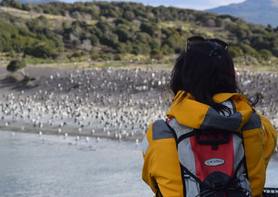 Ushuaia: Catamaran Sailing to Penguin Island - Why the Beagle Channel makes this trip worthwhile
