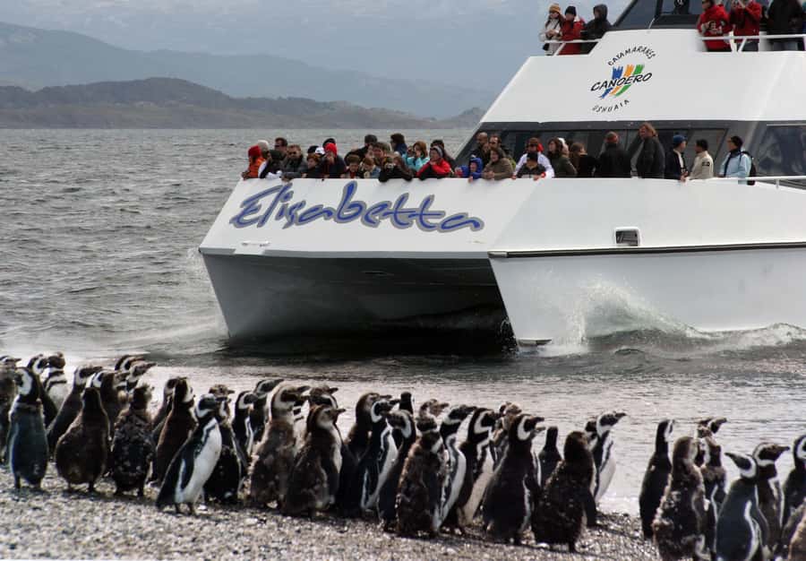 Ushuaia: Penguin Watching Tour by Catamaran - Crossing Ushuaia Bay and entering the Beagle Channel