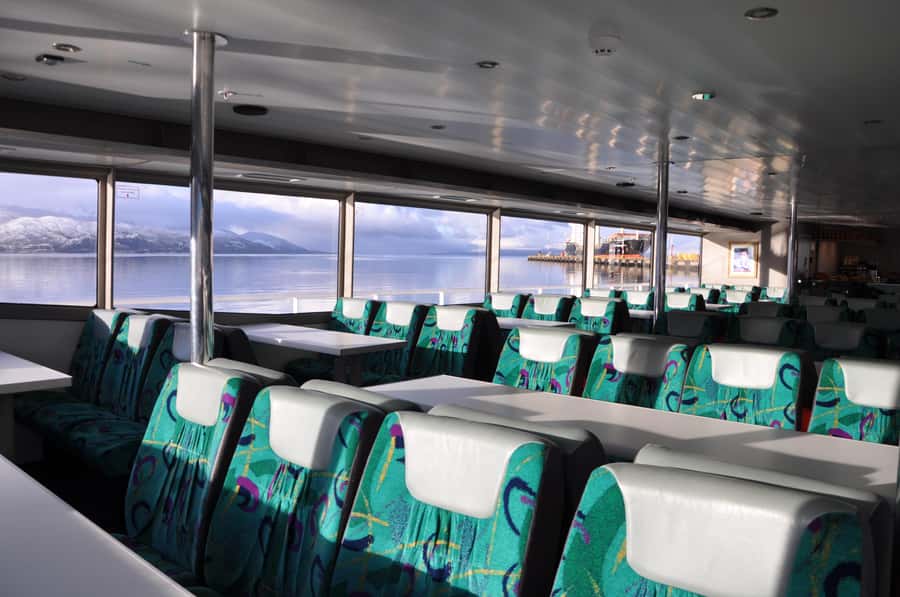 Ushuaia: Penguin Watching Tour by Catamaran - Les Eclaireurs Lighthouse and the SS Monte Cervantes