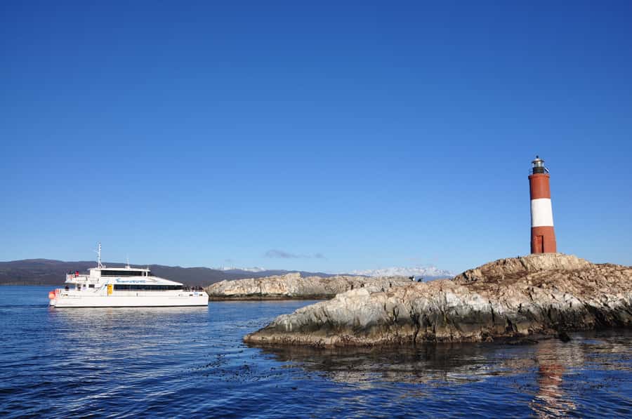 Ushuaia: Penguin Watching Tour by Catamaran - Martillo Island, the penguin highlight