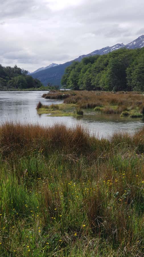 Ushuaia: Private Tour Tierra del Fuego National Park - Roca Lake and a hot drink in the forest