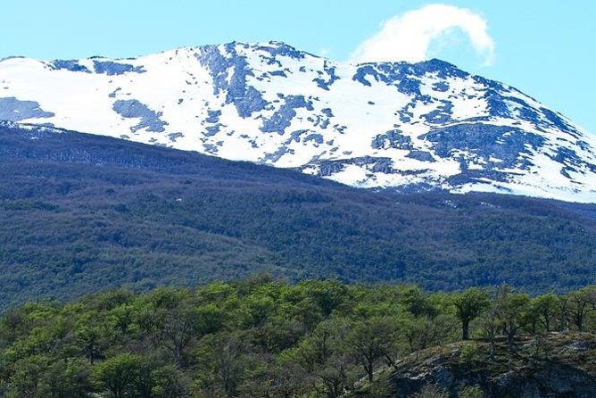 Ushuaia Shore Excursion: Private Tour of Tierra del Fuego National Park - The End of the World Train: memorable, but extra