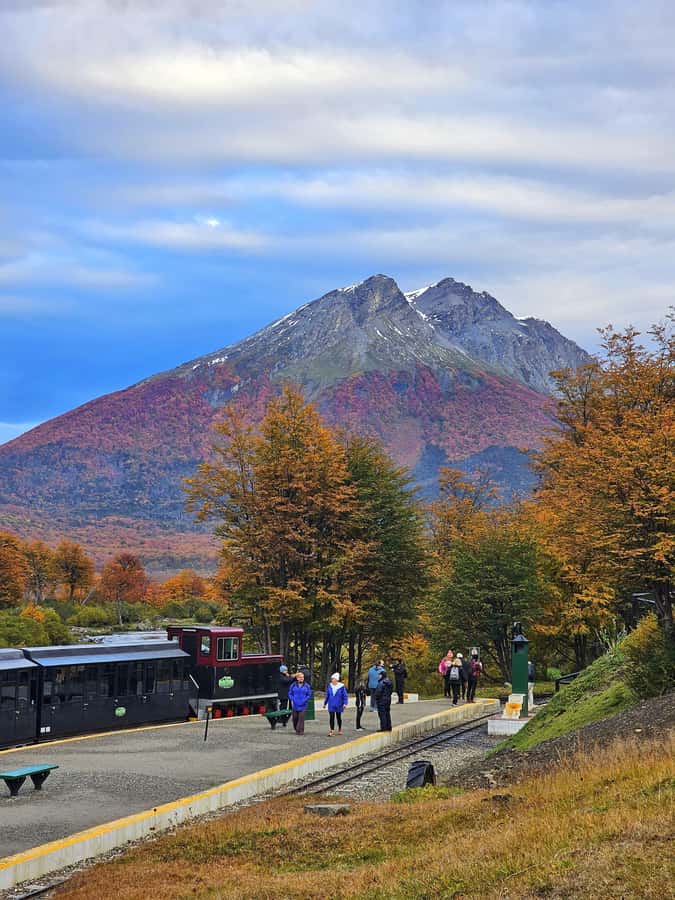 Ushuaia: Tierra del Fuego National Park - The guide makes the difference