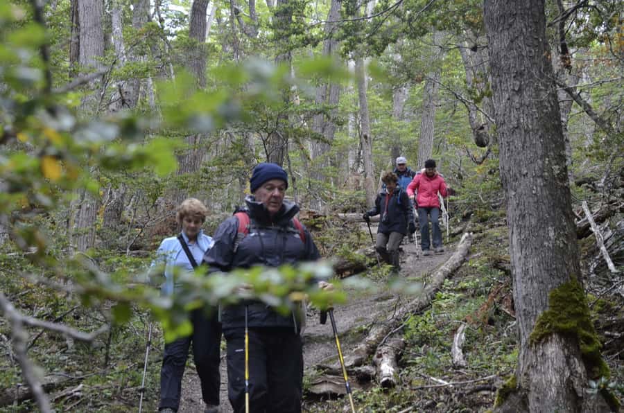 Ushuaia: Tierra del Fuego Trekking and Canoeing - What the $158 price really covers