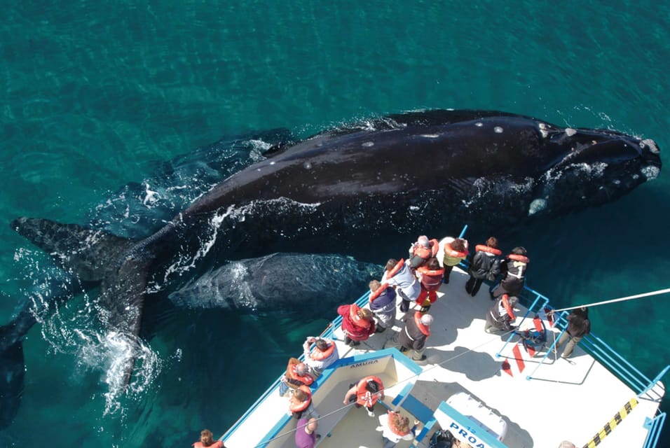 Valdes Peninsula: Full Day with Whale Watching - Puerto Pirámides and the whale boat