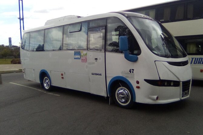 Vans and Minibuses Service - Getting Around Buenos Aires in a Private Vehicle