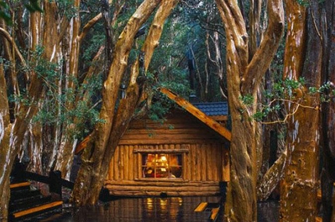 Victoria Island and Arrayanes Forest - What the $190 price really covers